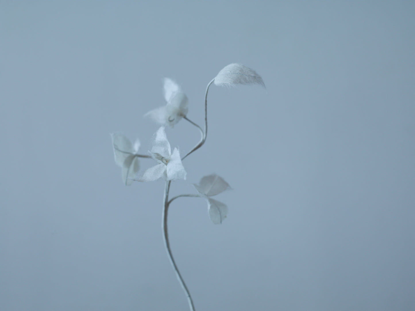 【アーテック】花の間 野花(のばな)【本美濃紙 】送料種別:100-W
